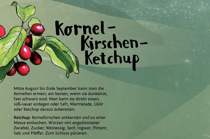 Entdeckerkalender August_2