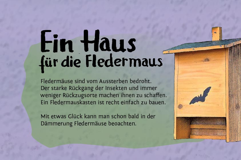 Entdeckerkalender Juni