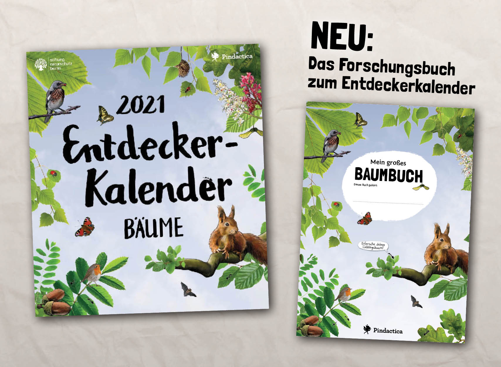 Der Entdeckerkalender Pindactica