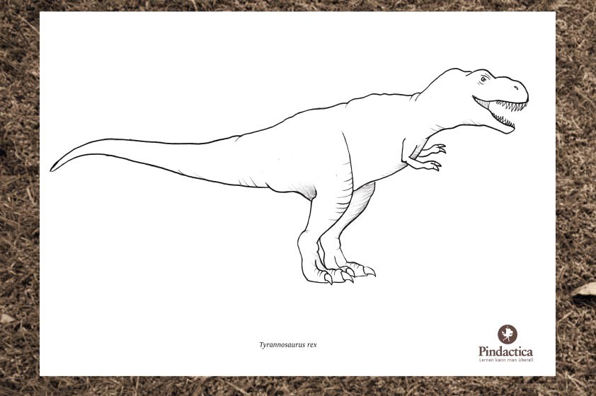dinosaurier und andere ausmalbilder  pindactica