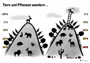 14 Klimawandel – Tiere und Pflanzen wandern