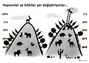 14 İklim Değişikliği – Hayvan ve Bitkiler Yerinden Oluyor