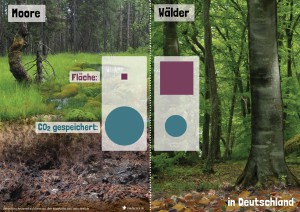 20 CO2-Senken – Moor und Wald im Vergleich